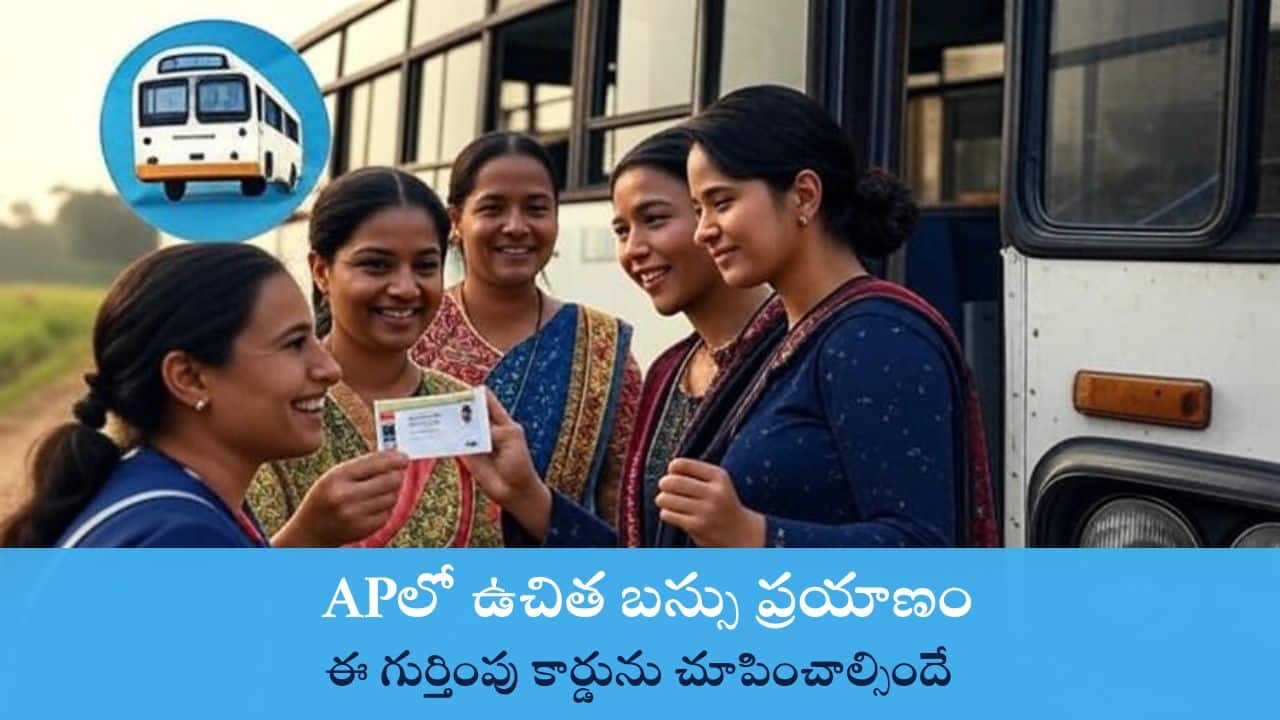 Ap free bus